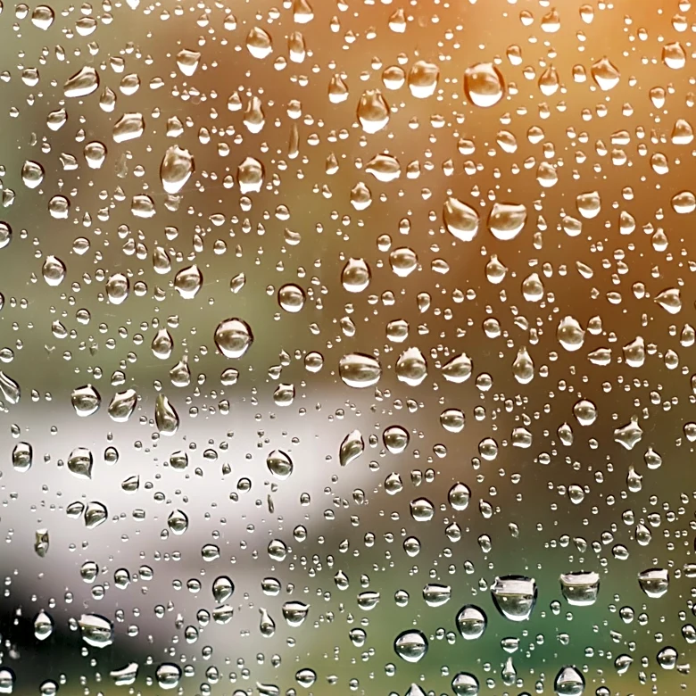 Reece Windows Doors Enhances Energy Efficiency with Storm-Resistant Windows for Florida Homeowners