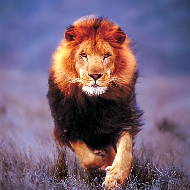 Liontrust Reports Slowed Net Outflows as Institutional Inflows Increase