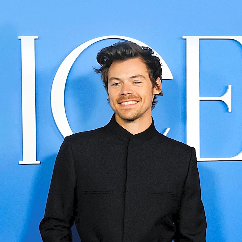 Harry Styles Cancels Brazil Concert Due to 'Tour Illness'