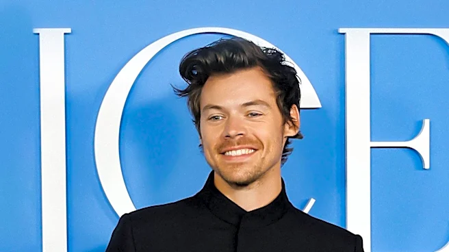 Harry Styles Cancels Brazil Concert Due to 'Tour Illness'