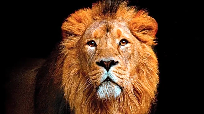 Liontrust Asset Management Sees Reduced Net Outflows Due to Institutional Inflows