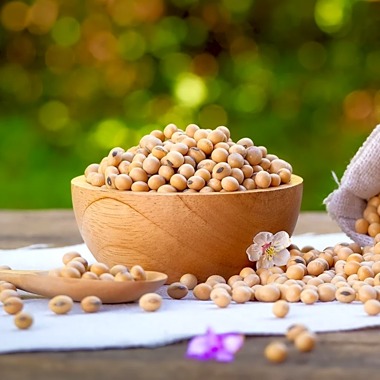 USDA Report Boosts Soybean and Corn Futures Amid Market Adjustments