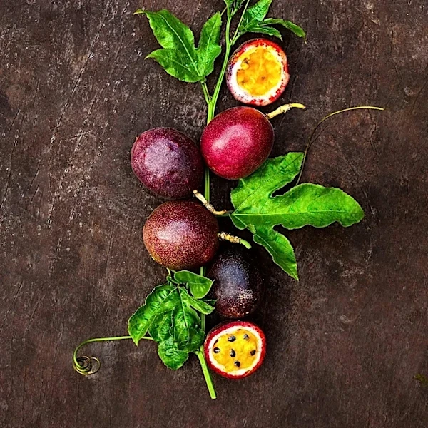Passionfroot Secures $15 Million to Expand B2B Creator Platform in the U.S.