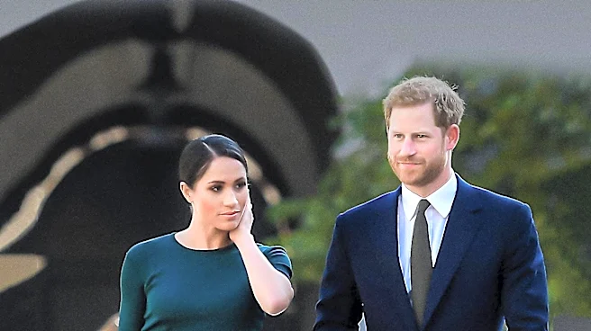 Prince Harry's Warning to Meghan After King Charles Reunion
