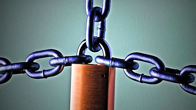 Open-Source Software: Balancing Innovation with Security Risks
