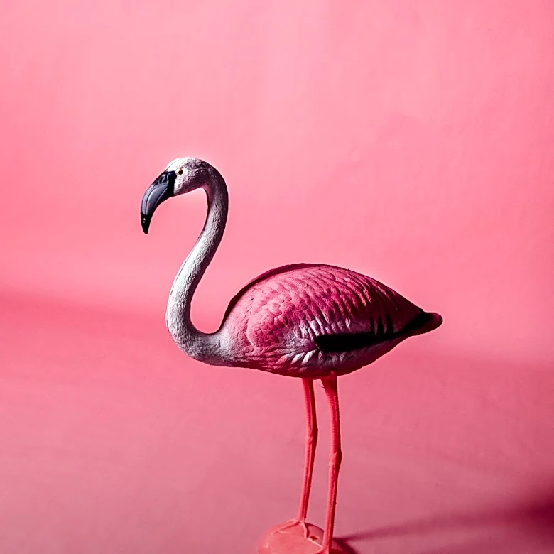Katie Hornor Announces First Traditionally Published Book with Expanded Edition of 'The Flamingo Advantage'