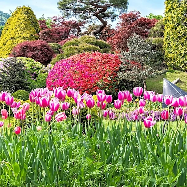 Historic Botanical Bloom at Bartram's Garden in Philadelphia