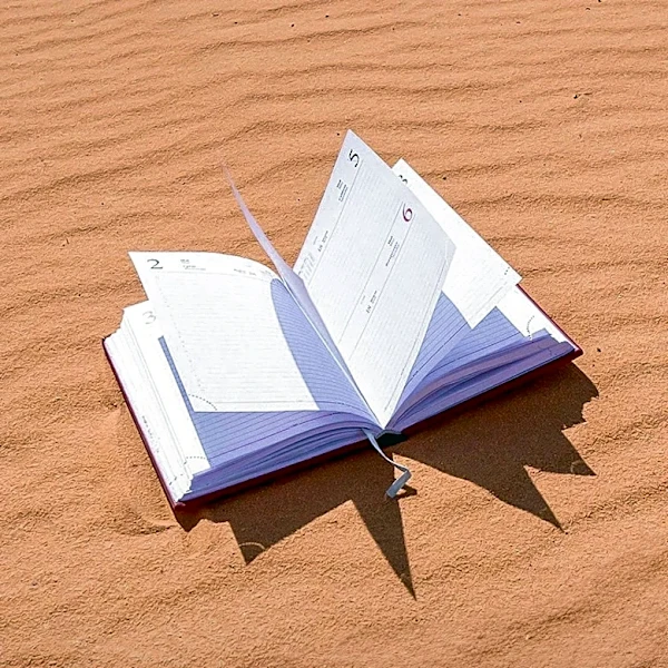 Claire Vaye Watkins' Novel 'Yellow Pine' Explores Desert Life and Environmental Struggles