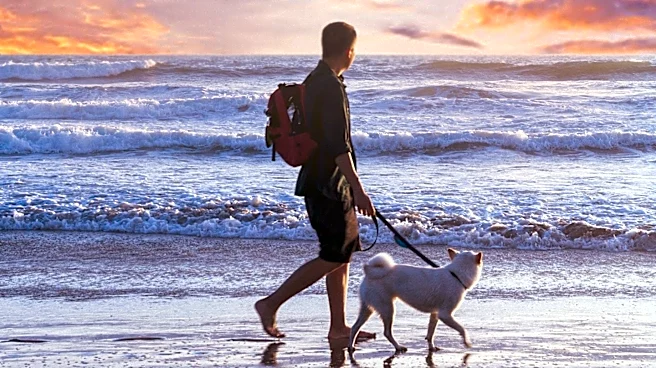 Dog-Friendly Hotels Along the Pacific Coast Highway Offer Unique Travel Experiences