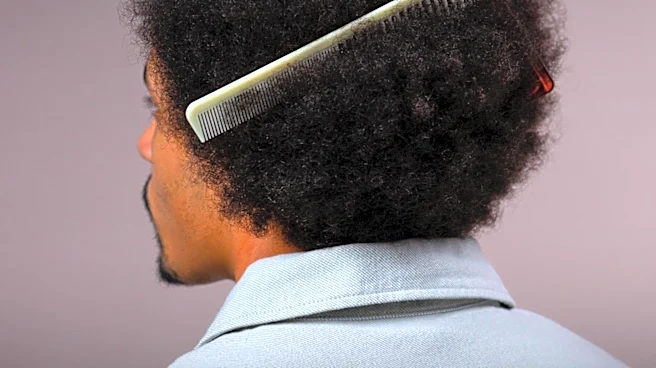 Colson Whitehead Discusses New York's Resilience and His Harlem Trilogy