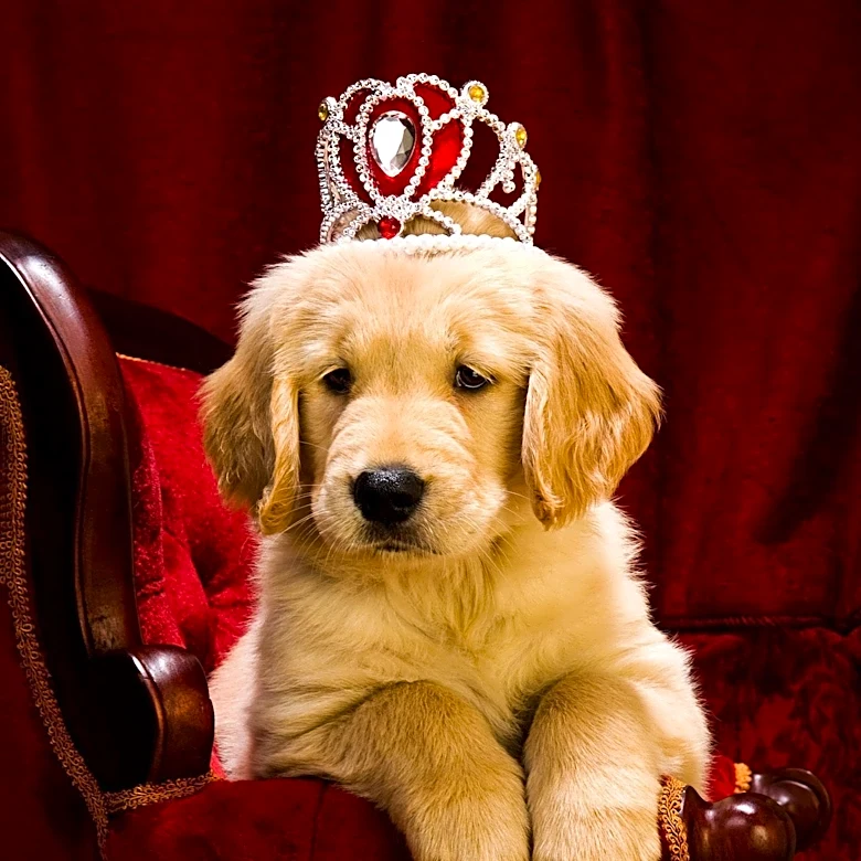 Prince George Celebrates 13th Birthday with New Portrait and Family Traditions
