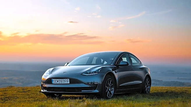 Tesla Faces Scrutiny Over Record Crash Reports in 2026