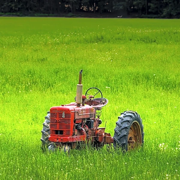 Maine's 37th Annual Open Farm Day Offers Unique Agricultural Experiences