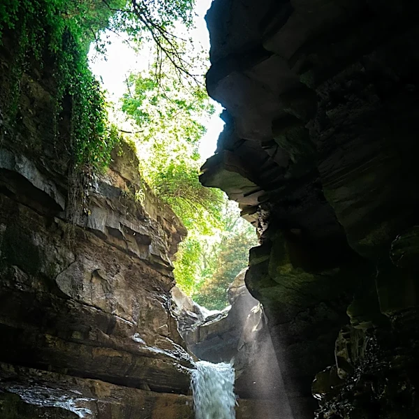 Canyon Forest Nature Preserve Offers Hiking and Waterfalls Between Indianapolis and Evansville