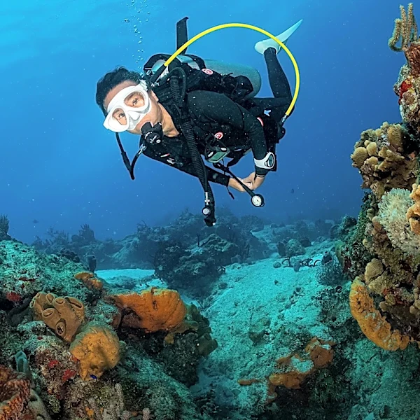 Zale Parry, Renowned Scuba Diver and 'Sea Hunt' Actress, Passes Away at 93