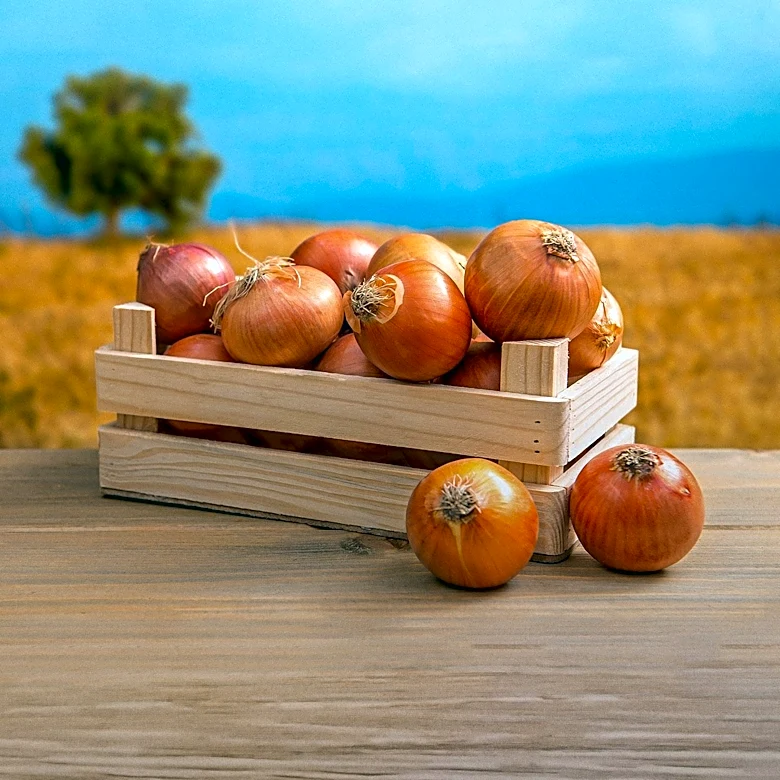 California State Fair Farm Celebrates Harvest Day with Farm-to-Fork Experience
