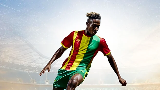 Sahel States Progress in Bid to Host 2032 Africa Cup of Nations