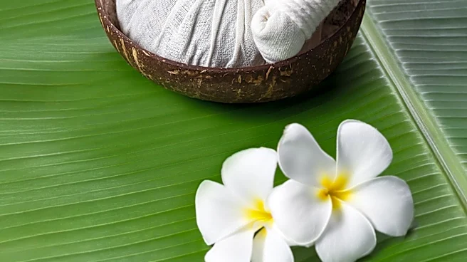 1EM Clinic Launches in Prahran with Focus on Transparent Wellness Treatments