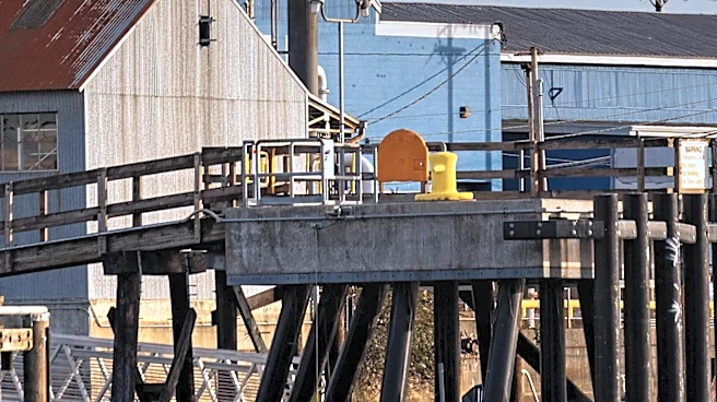 Emerson Expands Flame Detection Technology for Hazardous Locations