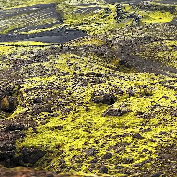 Exploring Iceland's Volcanic Wonders: A 9-Day Tour Experience