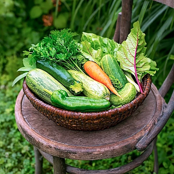 Late-Season Gardening Tips to Maximize Harvests