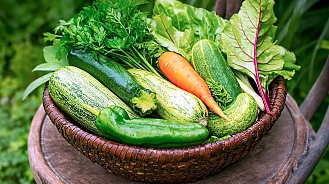 Late-Season Gardening Tips to Maximize Harvests