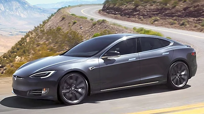 Investor Patience Wanes with Tesla Amidst Big Tech Earnings Season