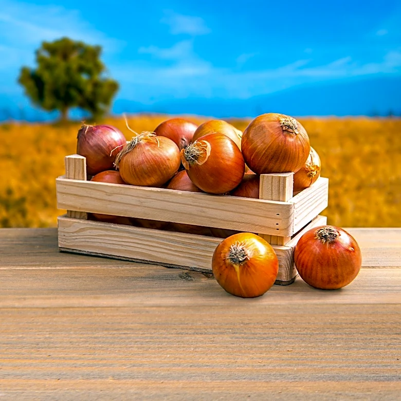 California State Fair Farm Hosts Harvest Day for Farm-to-Fork Experience