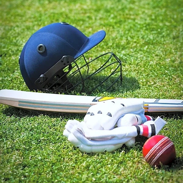 Ailana Agbayani's Walk-Off Single Secures Bandits' Spot in AUSL Championship