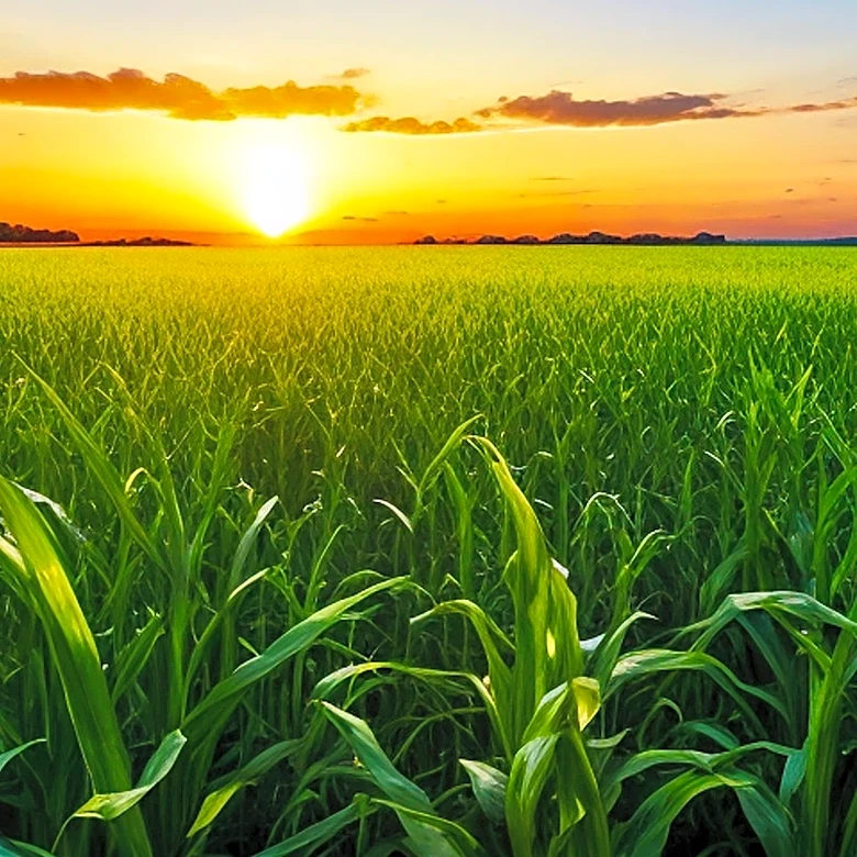 Missouri Announces Winners of 2026 Agriculture Photo Contest