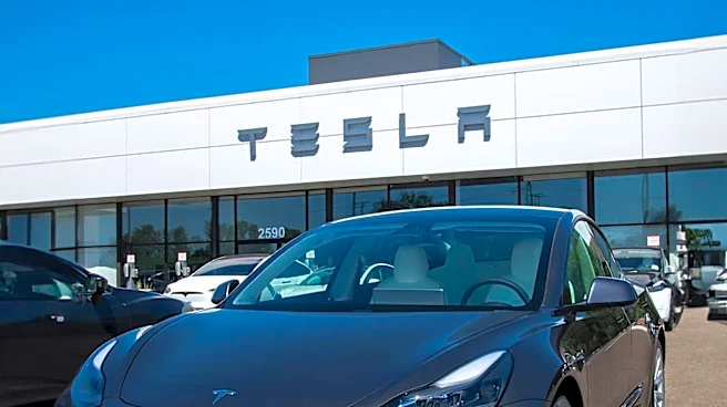 Tesla's Stock Plummets 14.5% Amidst Investor Concerns Over AI Ambitions