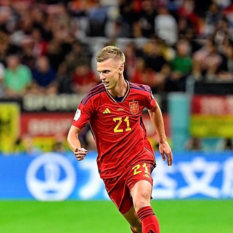 Argentina Assistant Manager Apologizes for Post-World Cup Final Incident with Dani Olmo