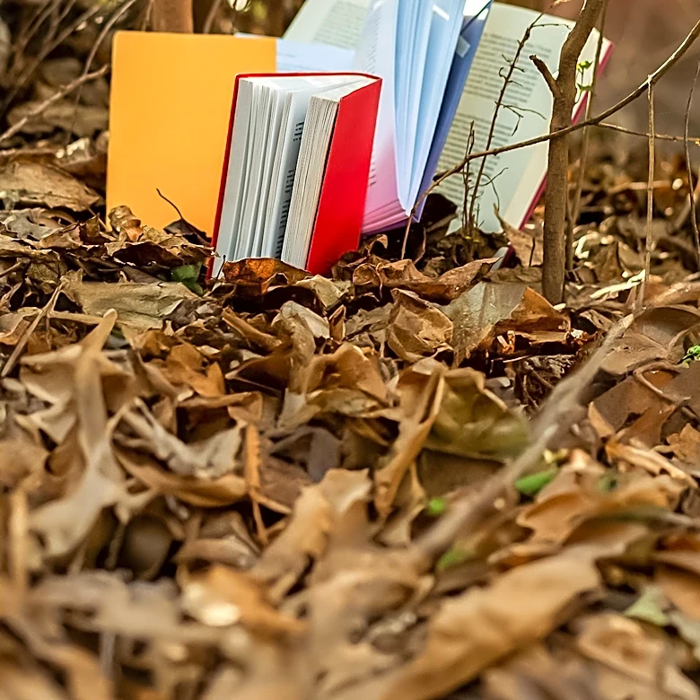 Dormont Resident Maps Community's Little Free Libraries