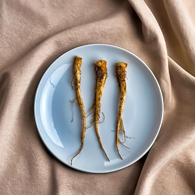 Roots Launches Limited Edition Collection Celebrating Iconic Canadian Food Stops
