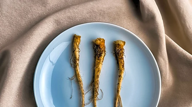 Roots Launches Limited Edition Collection Celebrating Iconic Canadian Food Stops