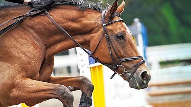 Team Israel Triumphs in CSIO3* Nations Cup at Traverse City