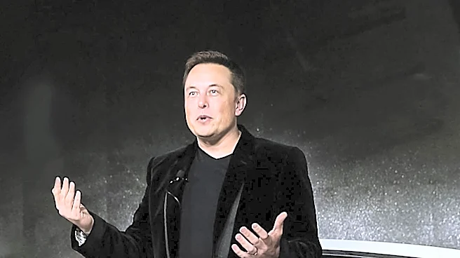Tesla Shares Plunge 14%, Elon Musk Loses $19 Billion