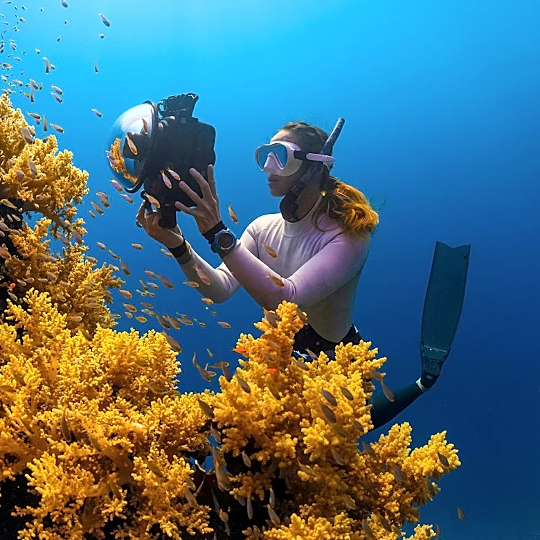TIFF-Premiering Documentary on Marine Biologist Dr. Edie Widder Opens in New York