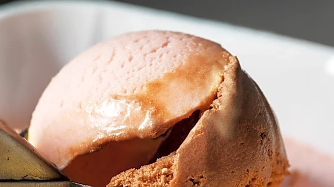 Salt Straw Opens First Ice Cream Shop in Boston, Introducing 'Cool Dog'