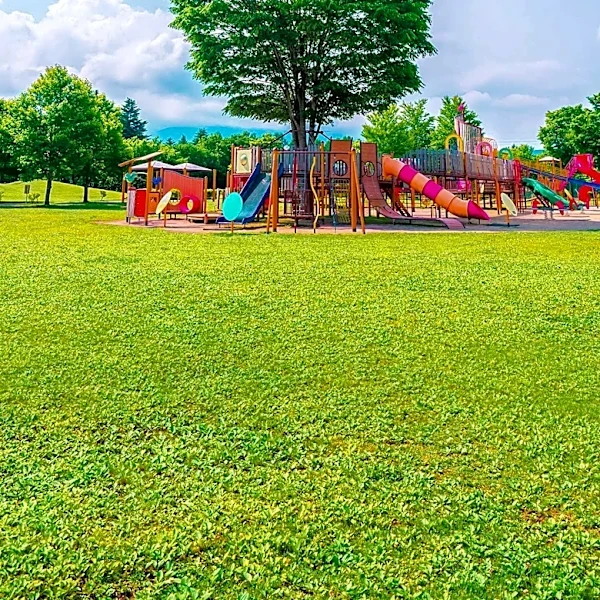 Dan Nicholas Park Offers Family-Friendly Activities Between Greensboro and Charlotte