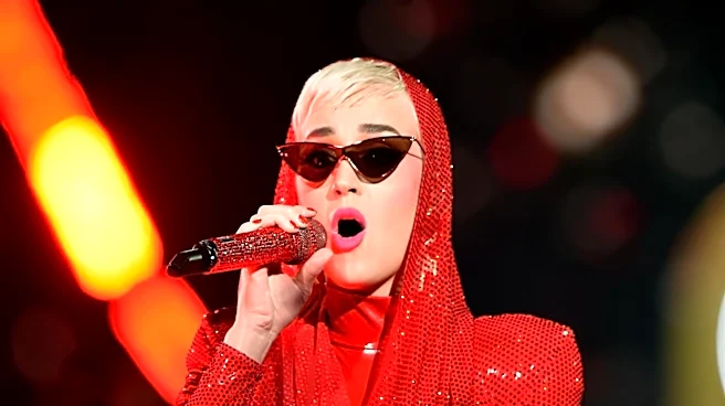 Katy Perry Criticizes White House for Using 'Firework' in Military Video