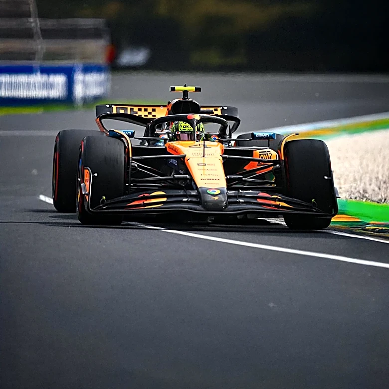 McLaren's Lando Norris Dominates Final Practice Ahead of Hungarian Grand Prix Qualifying