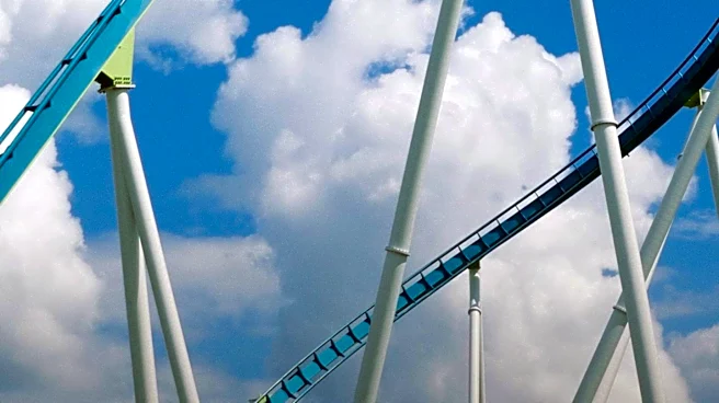 Record Attempt by People Named Ryan at Mall of America Roller Coaster