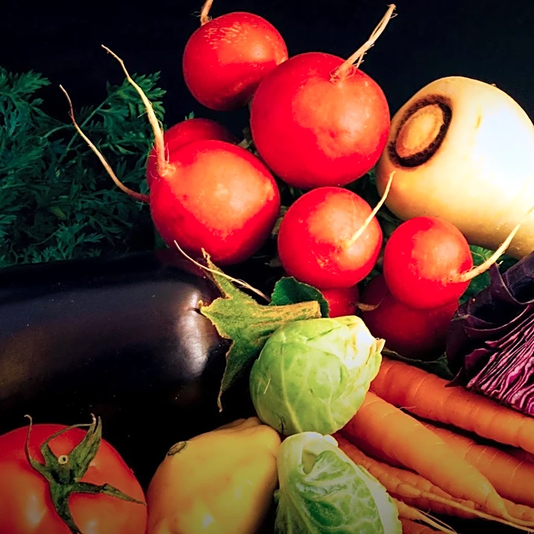 New River Valley Food Festival Unites Community in Christiansburg