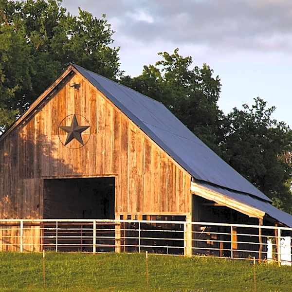 Historic 88,000-Acre Texas Ranch Sold for $127.7 Million
