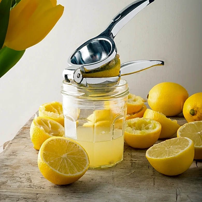 Philippe Starck's Juicy Salif Lemon Squeezer: A Design Icon's Legacy