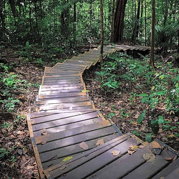 Fred and Dorothy Meyer Nature Preserve Offers Scenic Trails in Indiana