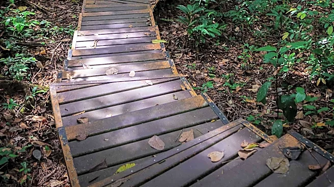 Fred and Dorothy Meyer Nature Preserve Offers Scenic Trails in Indiana