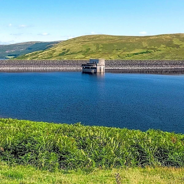 Anglers Experience Success Despite Thunderstorms at Bridgeport Reservoir