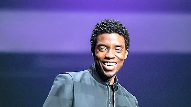 Marvel's Comic-Con Presentation Introduces T'Challa Jr. in 'Black Panther 3'